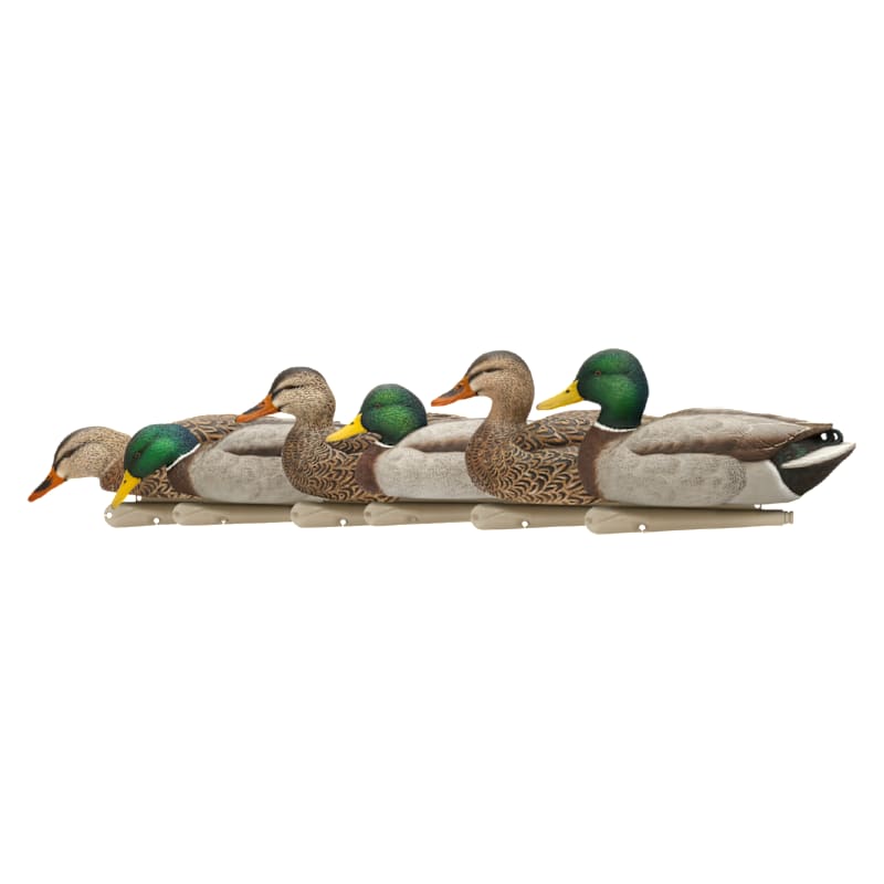 Avian-X Topflight Fusion Mallard Duck Decoys 6-Pack