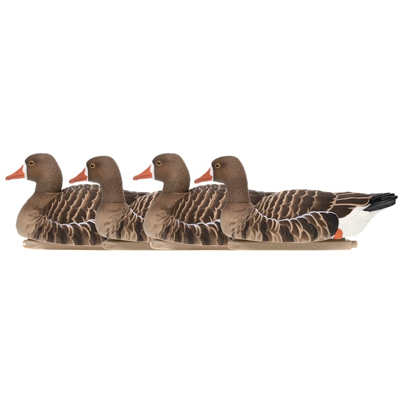 Avian-X Topflight Specklebelly Goose Decoys 4-Pack
