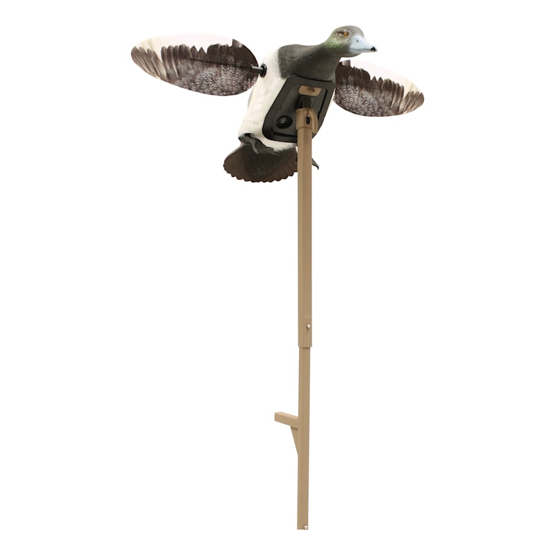 MOJO Outdoors Elite Series Diver Bluebill Motorized Duck Decoy