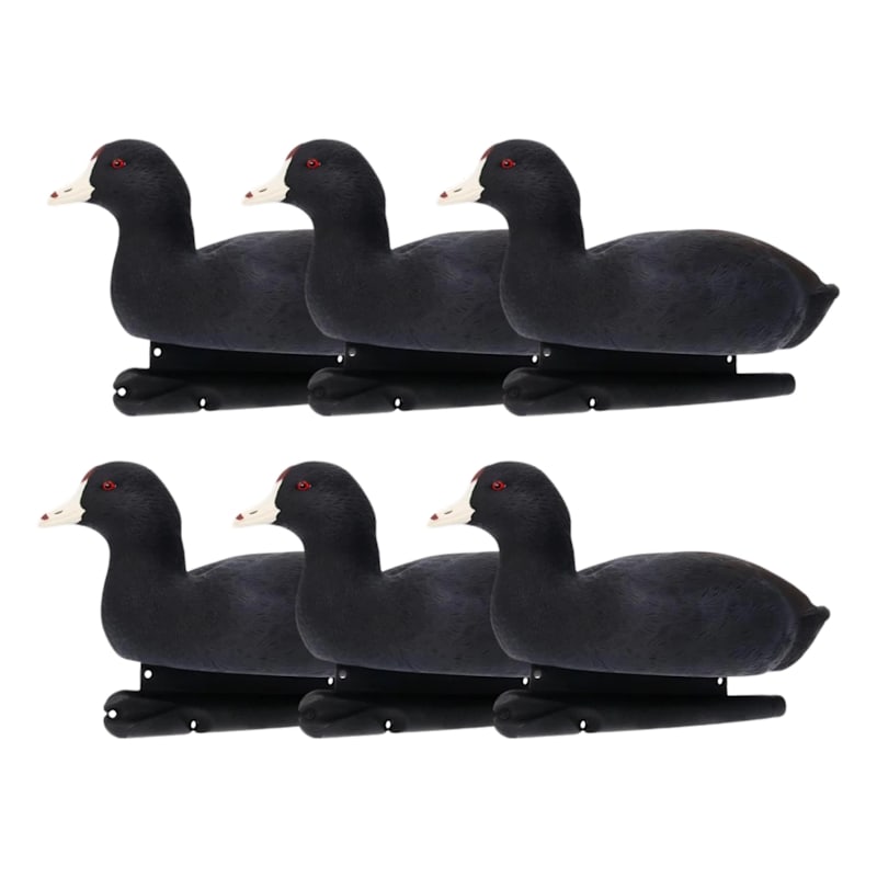 Avian-X Topflight Coot Decoys 6-Pack