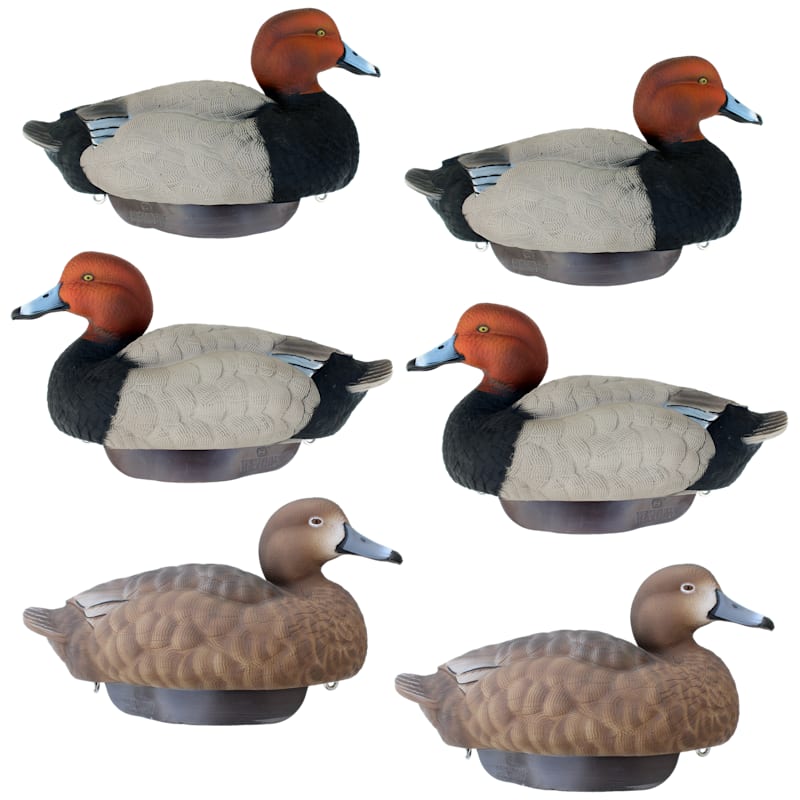 HEYDAY HyrdoFoam Redhead Duck Decoys 6-Pack