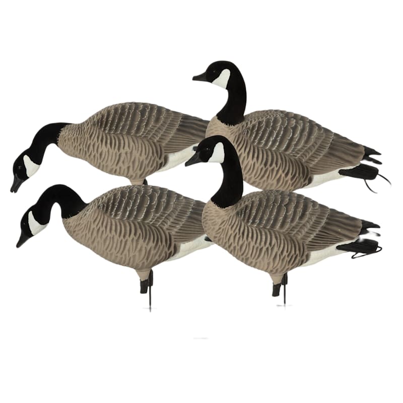 GHG Pro Grade XD Canada Goose Decoys Harvester 4-Pack