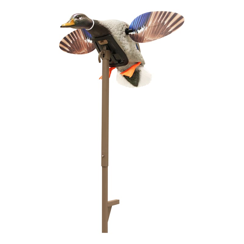MOJO Outdoors Elite Series Mini Mallard Motorized Duck Decoy