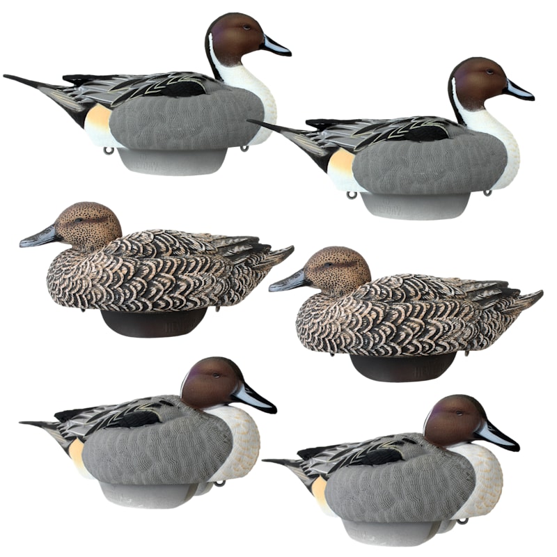HEYDAY HydroFoam Pintail Duck Decoys 6-Pack