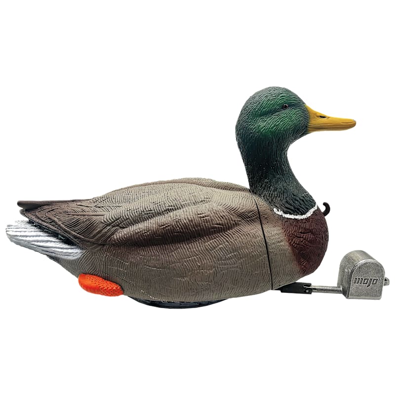 MOJO Outdoors Dabbler Motorized Feeding Duck Decoy