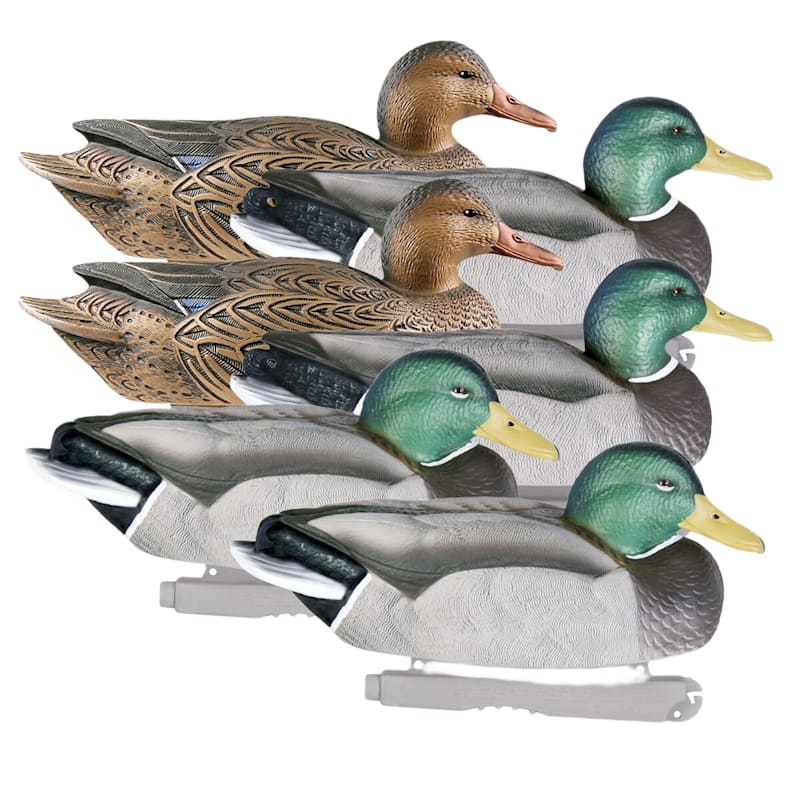 GHG Life Size Mallard Duck Decoys 6-Pack