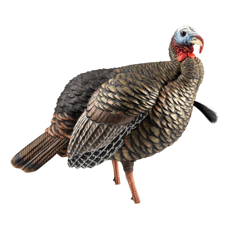 Avian-X HDR Jake Turkey Decoy