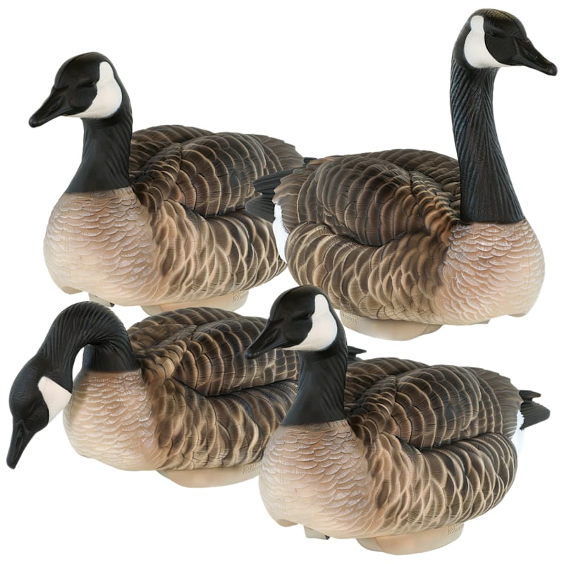 HEYDAY HydroFoam Canada Goose Decoys 4-Pack