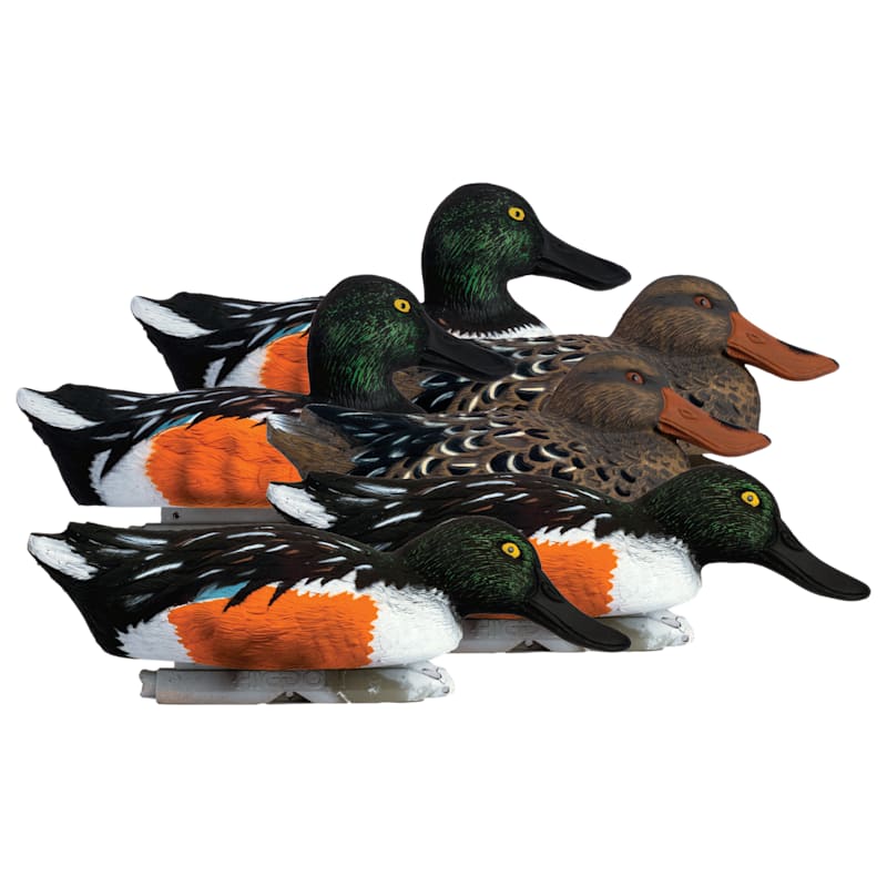 Higdon Standard Shoveler Foam-Filled Duck Decoys 6-Pack