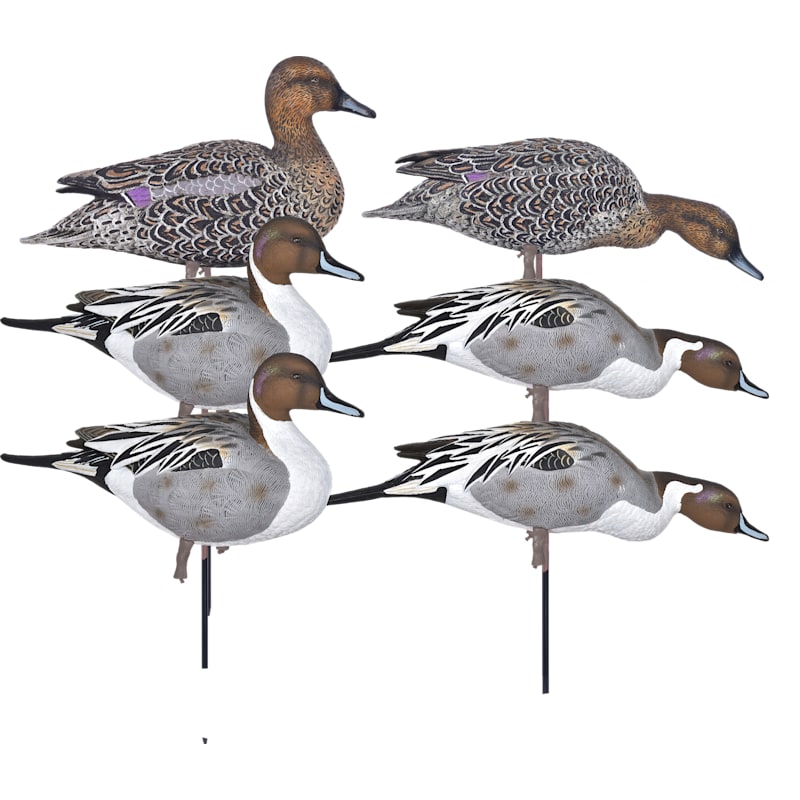 GHG Pro Grade Full-Body Pintail Duck Decoys Harvester 6-Pack