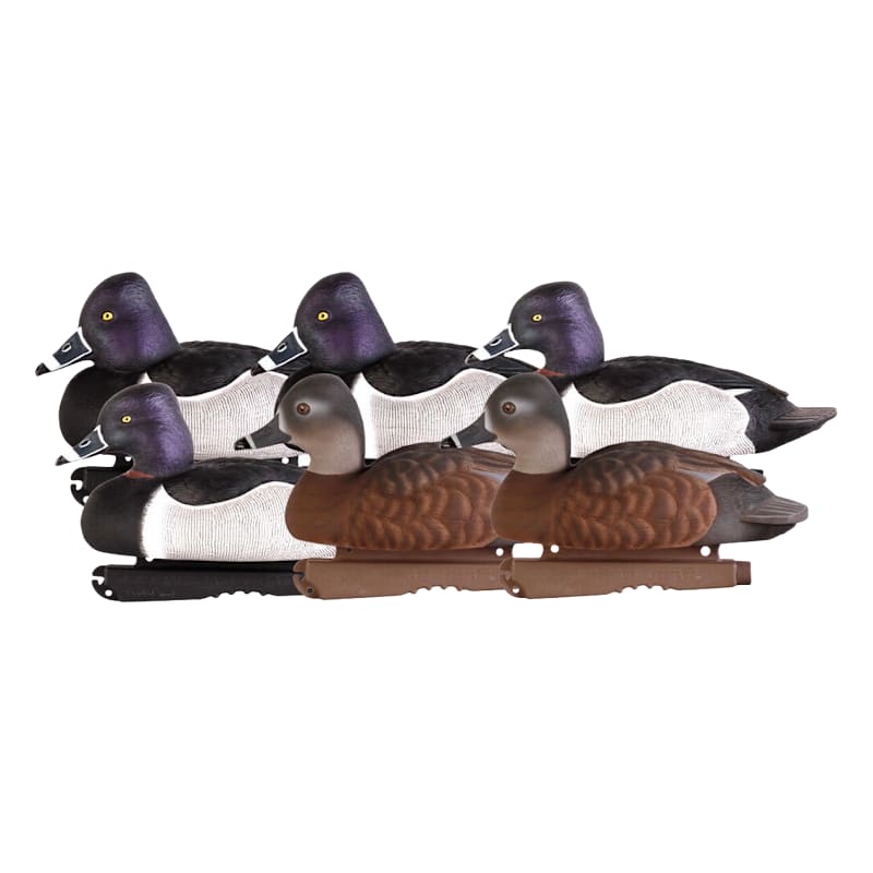 GHG Pro Grade Foam-Filled Ring Necked Duck Decoys 6-Pack