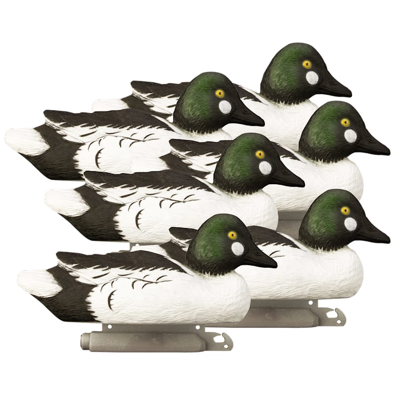 Higdon Standard Foam-Filled Goldeneye Drake Duck Decoys 6-Pack