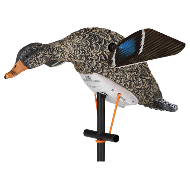 Lucky Duck HD Hen Mallard Motion Duck Decoy