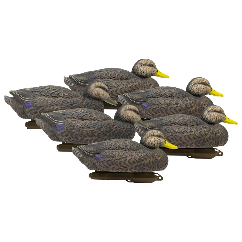 Higdon Outdoors Legacy Magnum Black Duck Foam-Filled Duck Decoy 6-Pack