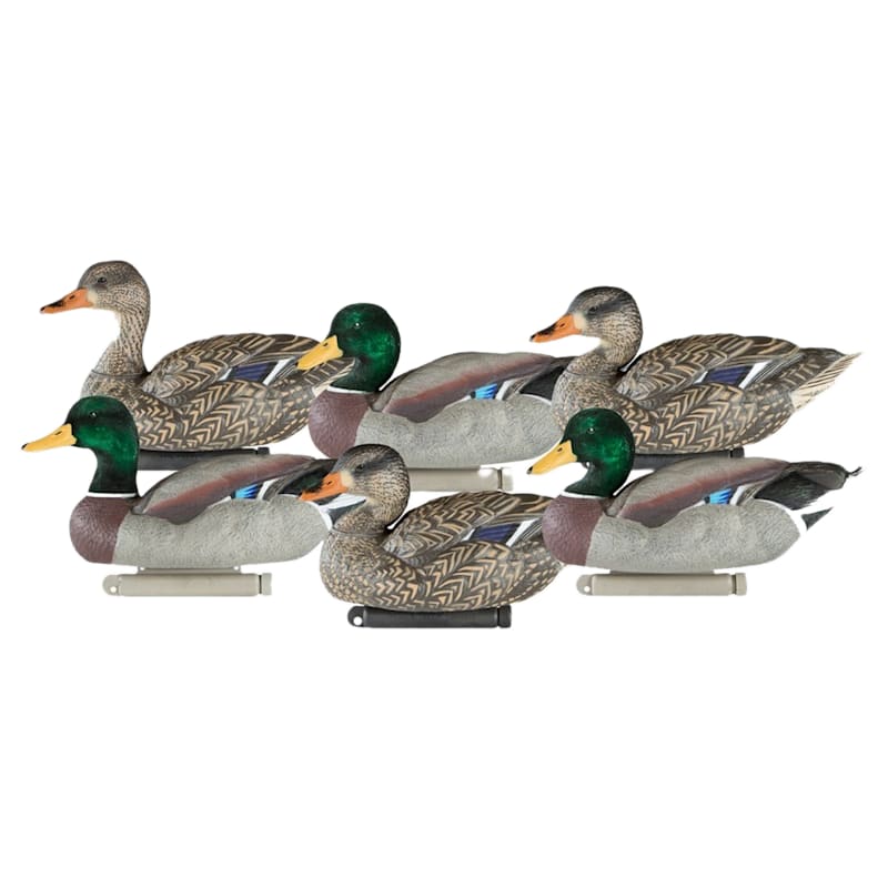 Dakota X-Treme Mallard Duck Decoys 6-Pack