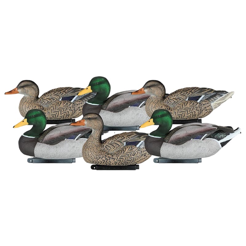 Dakota X-Treme Packable Flocked Drake Head Mallards Duck Decoys 6-Pack
