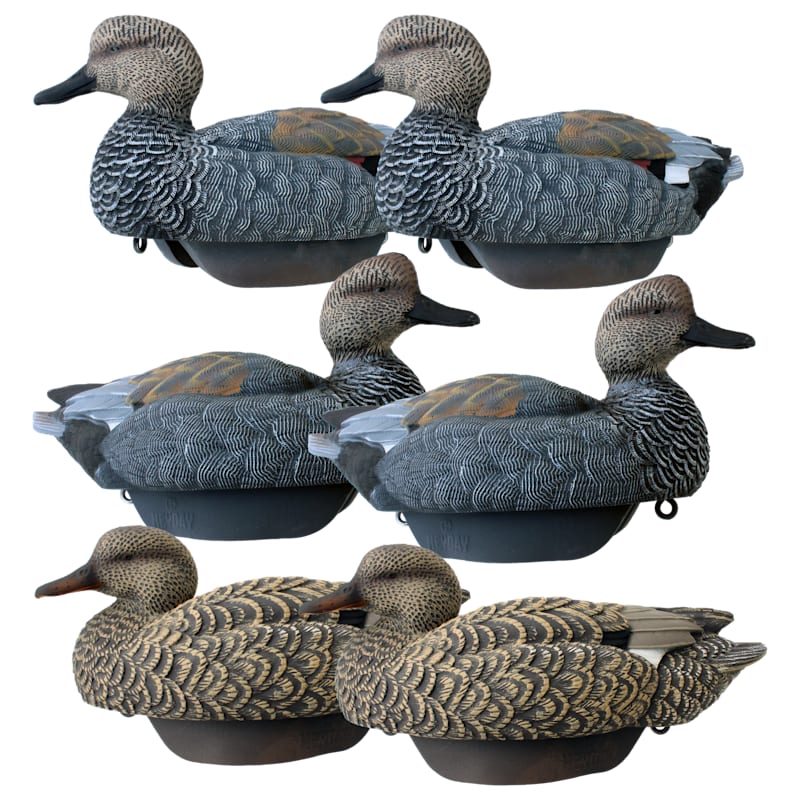 HEYDAY HydroFoam Gadwall Duck Decoys 6-Pack