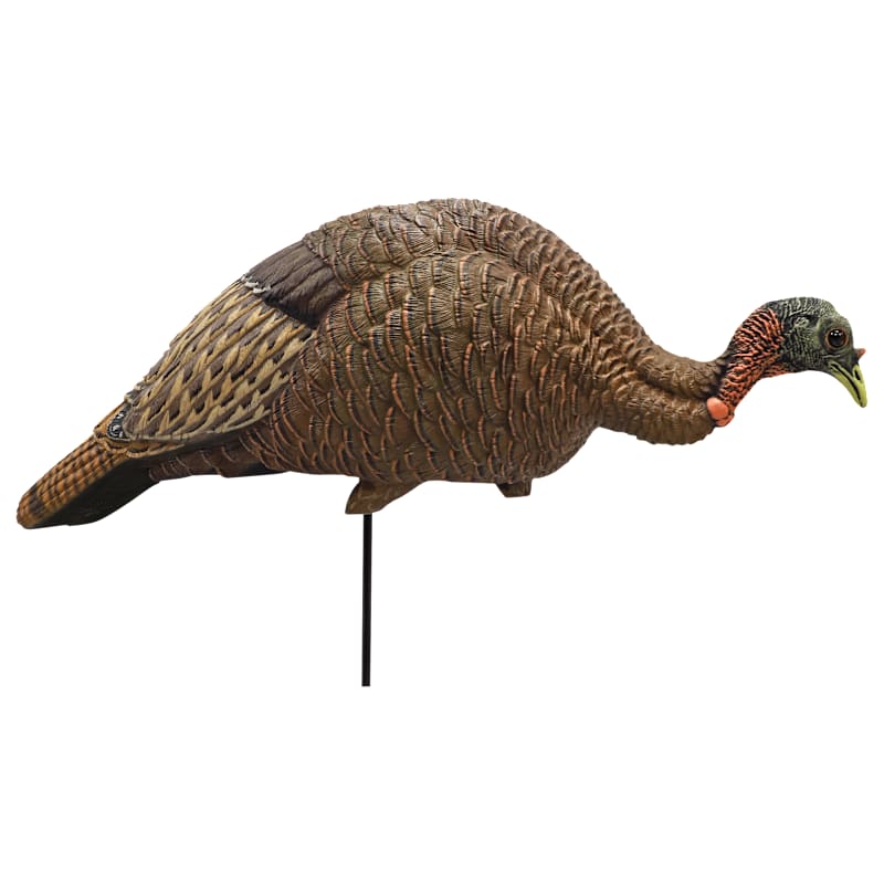 MOJO Outdoors Feeder/Breeder Hen Turkey Decoy