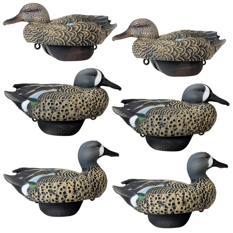 HEYDAY HydroFoam Blue-Winged Teal Duck Decoys 6-Pack