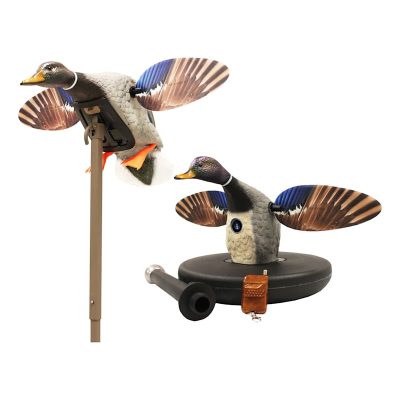 MOJO Outdoors Elite Series Floater Mallard and Mini Mallard Motorized Duck Decoy Combo