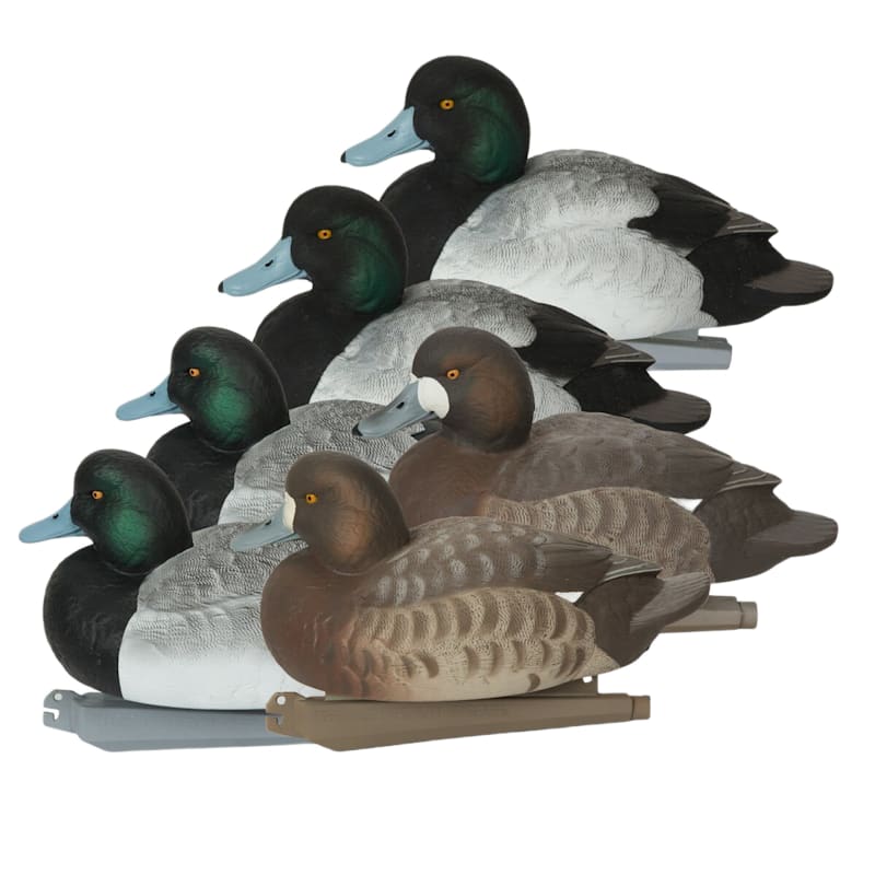 GHG Pro Grade Foam-Filled Bluebilll Duck Decoys 6-Pack