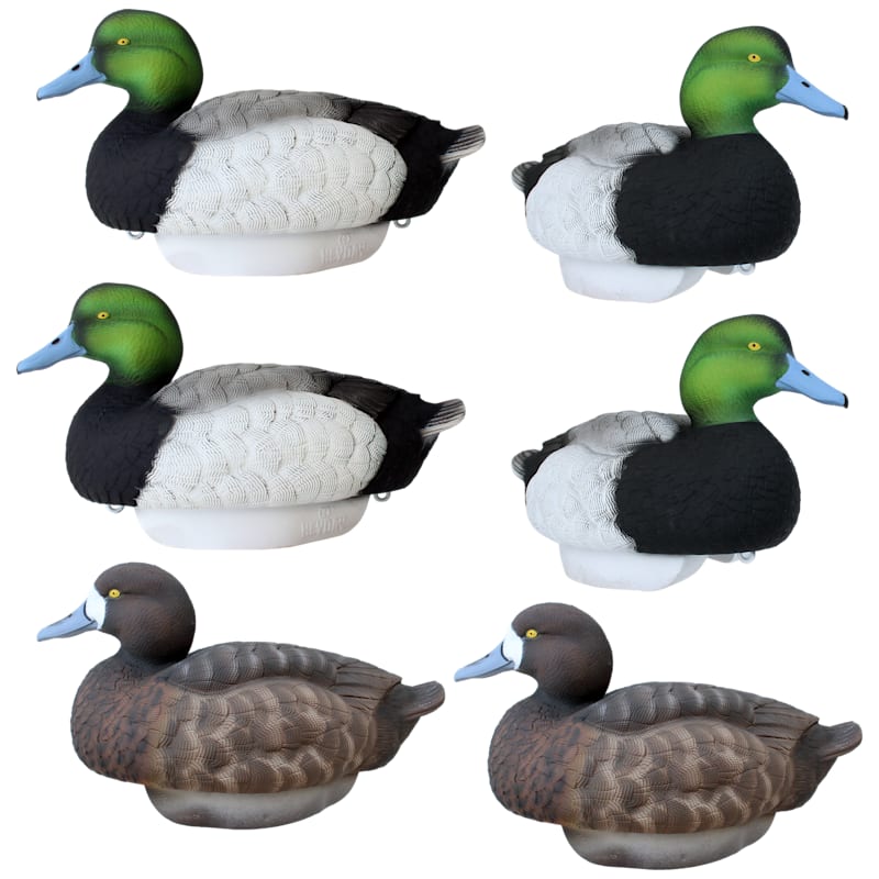 HEYDAY HydroFoam Bluebill Duck Decoys 6-Pack
