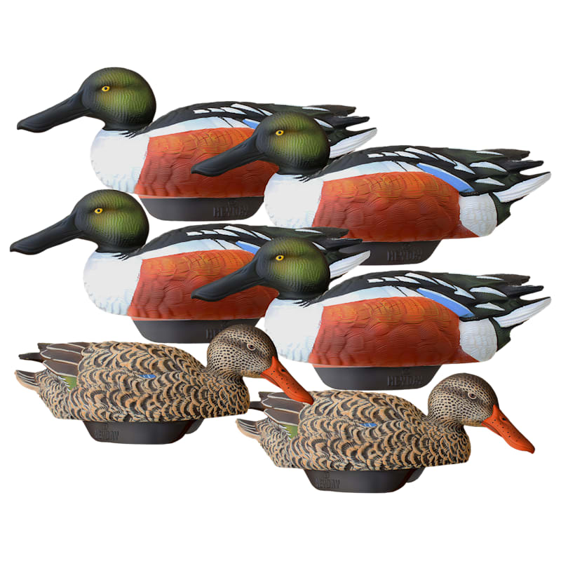 HEYDAY HydroFoam Shoveler Duck Decoy 6-Pack
