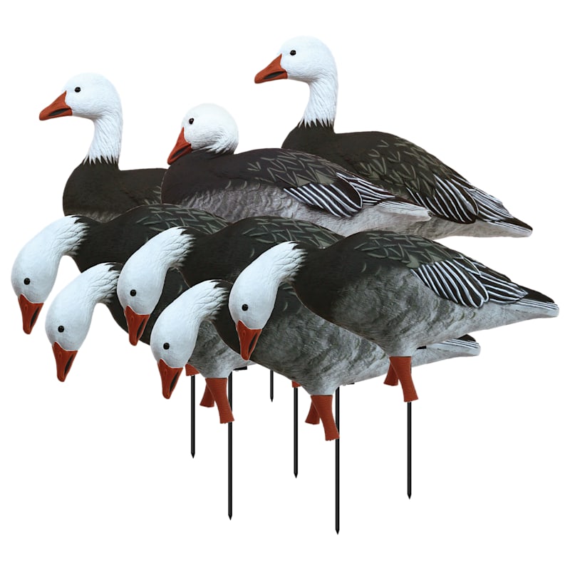 Higdon Full Size Full-Body Blue Goose Decoys 8-Pack