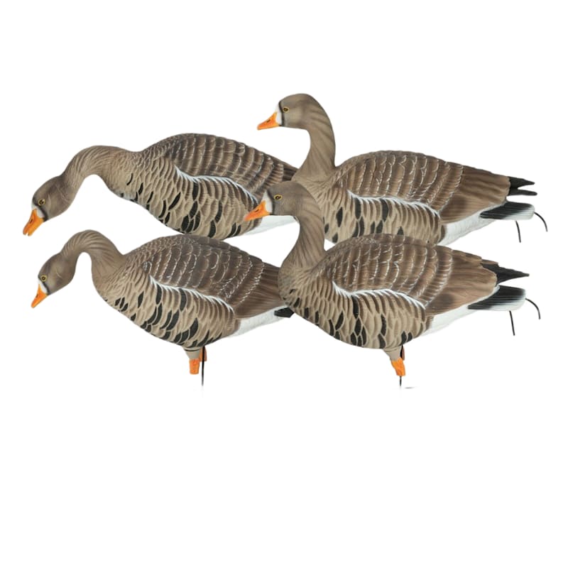 GHG Pro Grade XD Specklebelly Harvester Goose Decoys 4-Pack