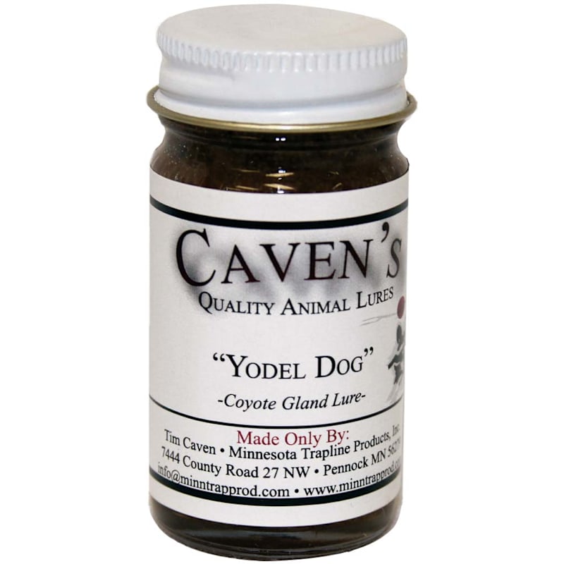 Caven's Yodel Dog Coyote Gland Trapping Lure
