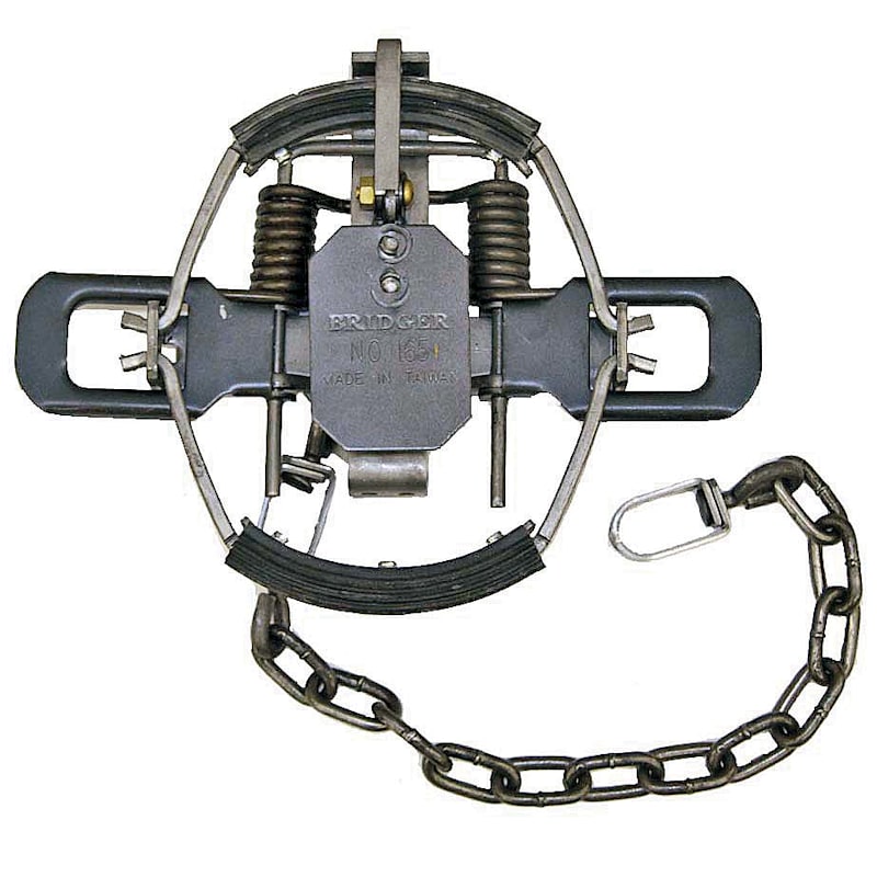 Bridger #1.65 Fox Rubber-Jaw Coil-Spring Trap