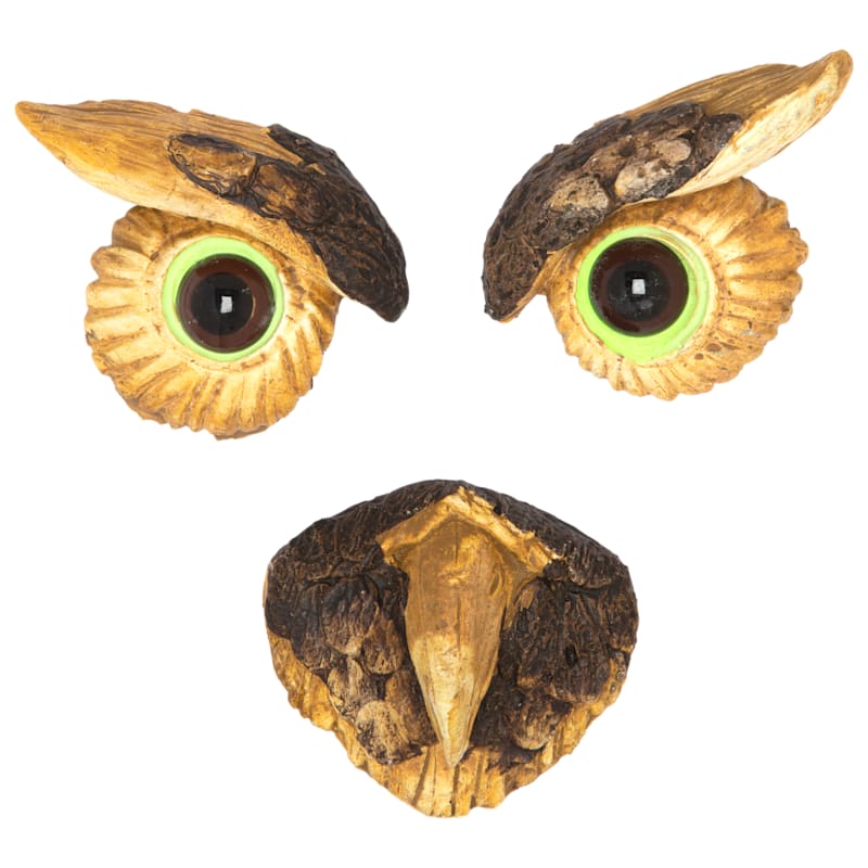 Land and Sea Owl Tree Face