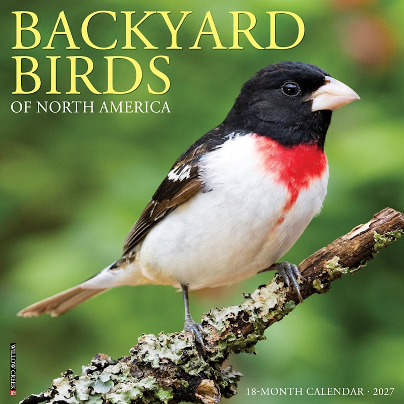Willow Creek Press 2027 Backyard Birds of North America 18-Month Wall Calendar