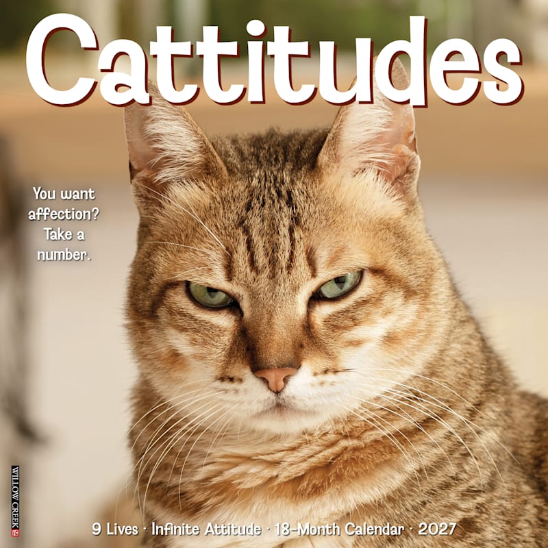 Willow Creek Press 2027 Cattitudes 18-Month Wall Calendar