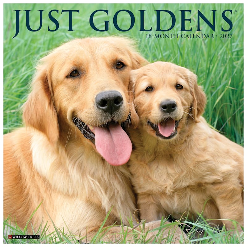Willow Creek Press 2027 Just Goldens 18-Month Calendar