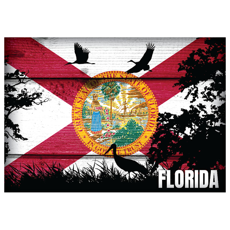 Florida Themed State Flag Souvenir Magnet