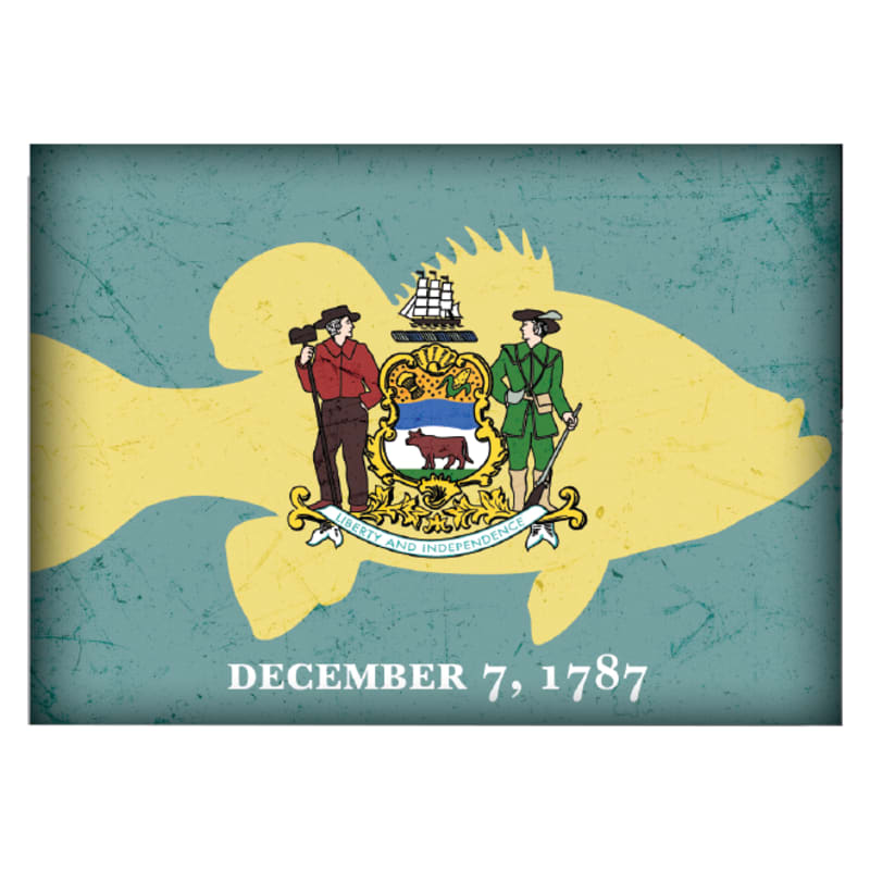 Delaware Fishing-Themed State Flag Souvenir Magnet