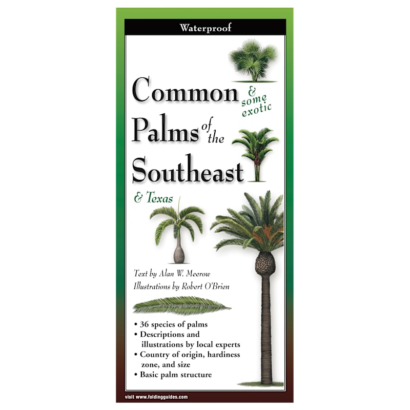 Common & Some Exotic Palms of the Southeast & Texas Laminated Folding Guide by Alan Meerow and Robert O'Brien