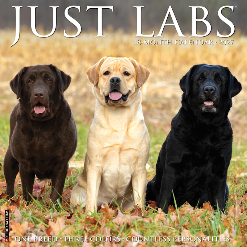 Willow Creek Press 2027 Just Labs 18-Month Wall Calendar