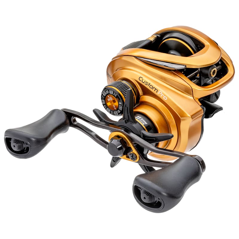 Lew's Custom Pro Baitcast Reel