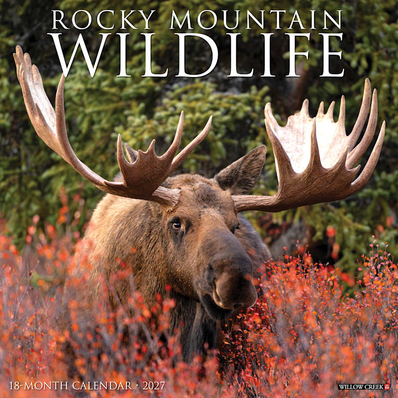 Willow Creek Press 2027 Rocky Mountain Wildlife 18-Month Wall Calendar