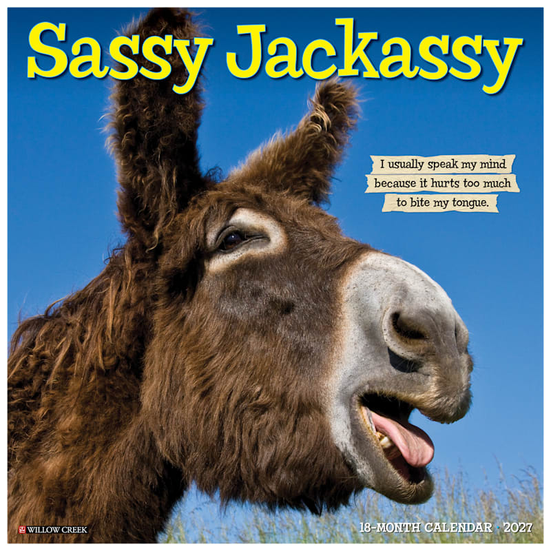 Willow Creek Press 2027 Sassy Jackassy 18-Month Wall Calendar