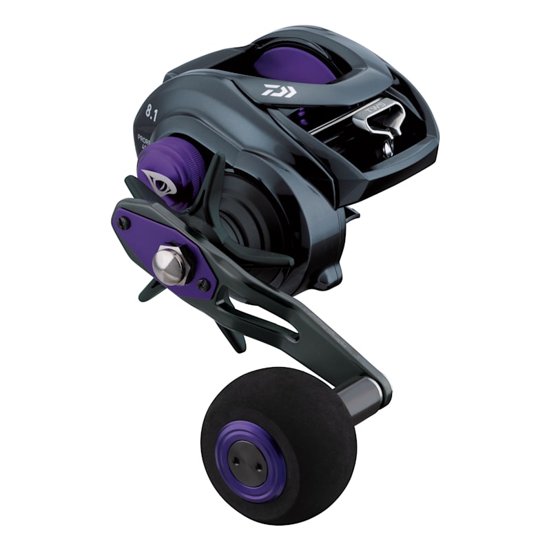 Daiwa Prorex TW Baitcast Reel