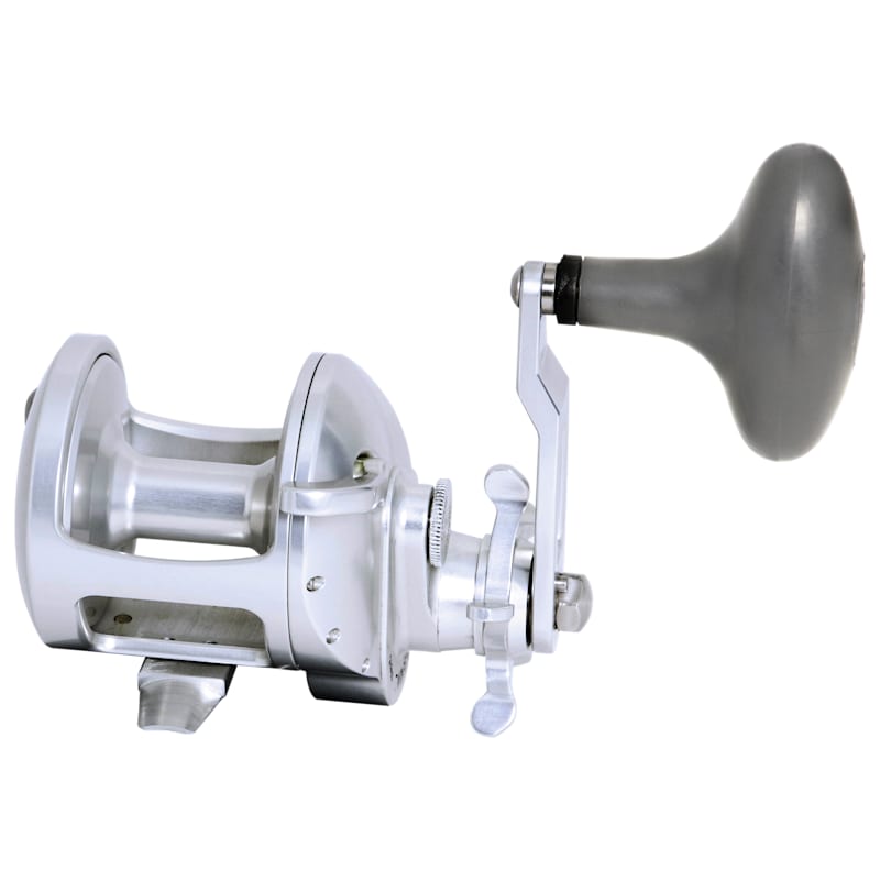 Accurate Tern2 Conventional Reel