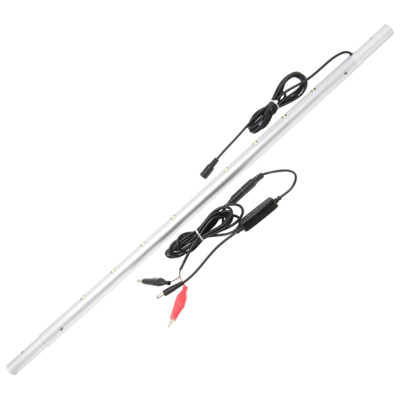 Clam Small Light Stick