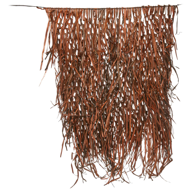 Northern Flight Field Grass 4-Pack
