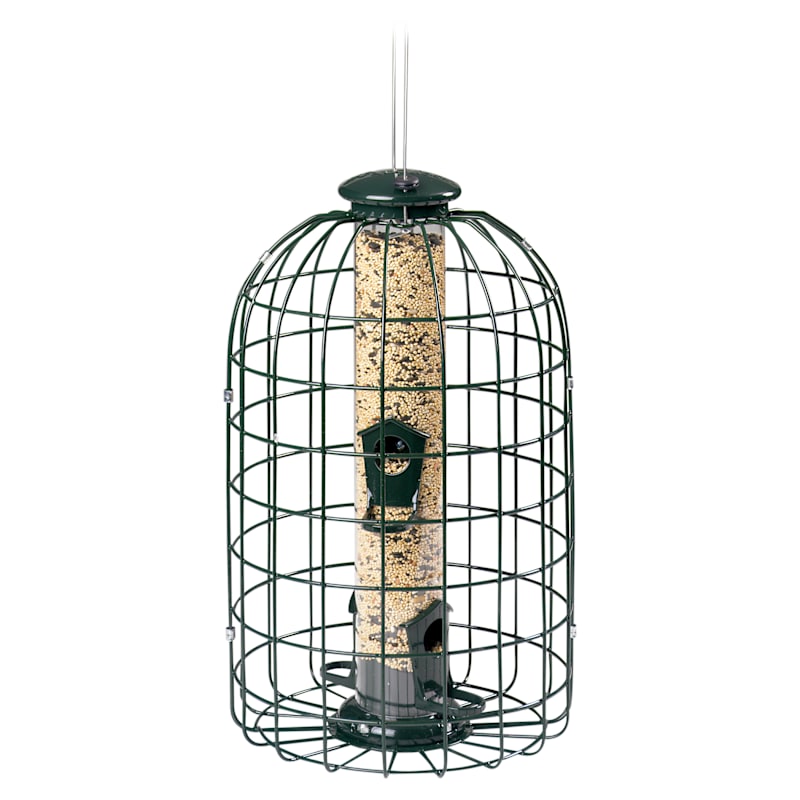 Audubon Squirrel-Proof Bird Feeder