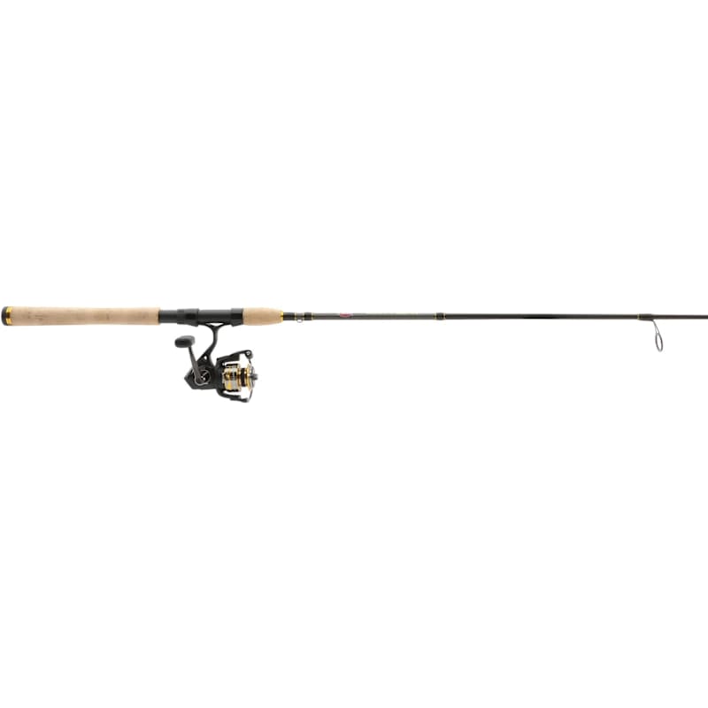 PENN Battle IV Surf Spinning Combo