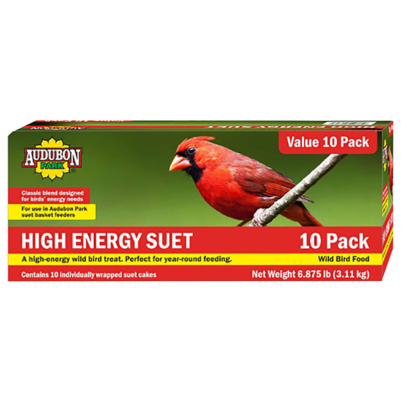 Morning Song Year-Round Suet Wild Bird Food 10-Pack