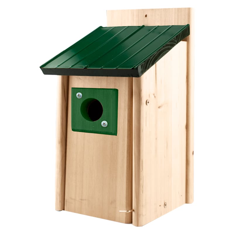 WoodLink Lake and Cabin Bluebird House with Predator Guard